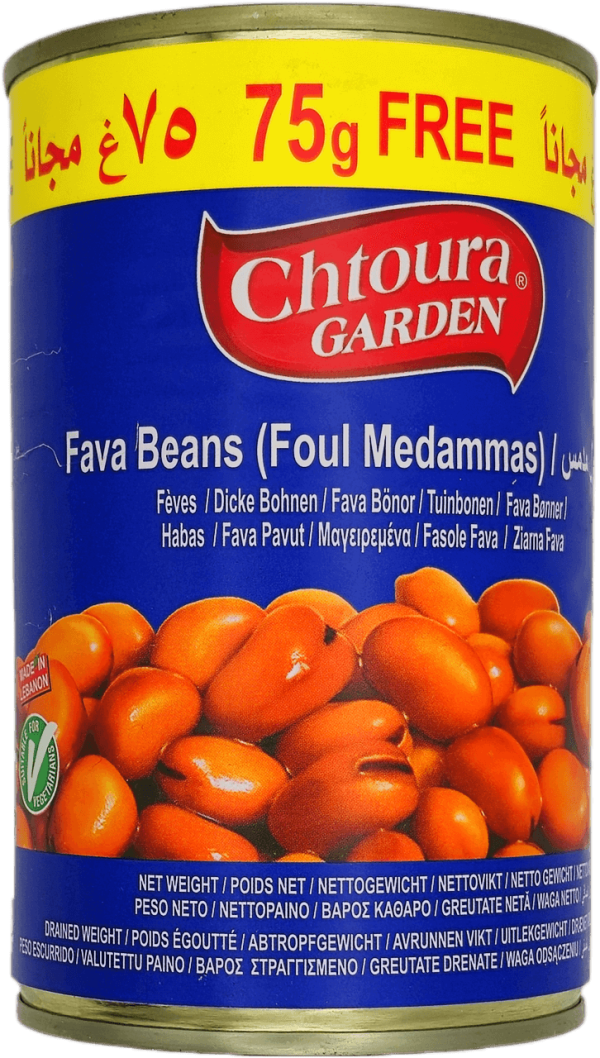 Fava Beans (Foul Medammas)