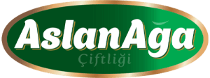 AslanAğa