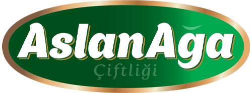 AslanAğa